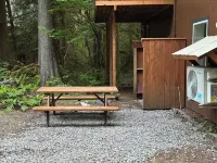 NEW - Cozy Waterfront Cabin Nestled in the Forest - King beds / AC / Fast Wi-fi