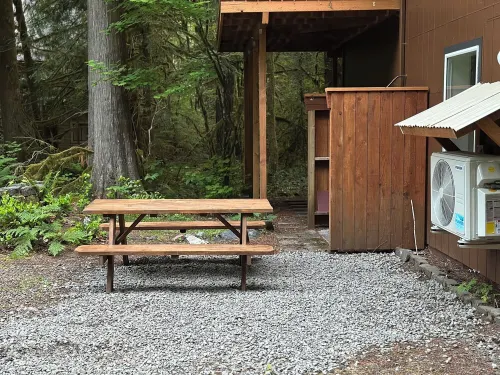 NEW - Cozy Waterfront Cabin Nestled in the Forest - King beds / AC / Fast Wi-fi