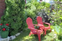 Ski, Shop and Explore Walkable Midtown Reno Oasis!