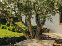 The Manor House Celeirós Hotels in Sabrosa