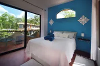 Villa Ataraxia Solferino - Homestays