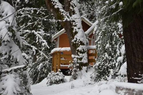 The Cornerstone Cabin - Mount Rainier