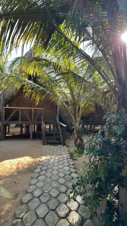 Punta Cana Ecolodge Отели в г. Las Lagunas de Nisibon
