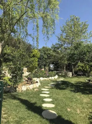Villa Grande Olive