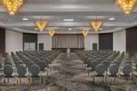 DoubleTree by Hilton Kingston Hotels in Kingston