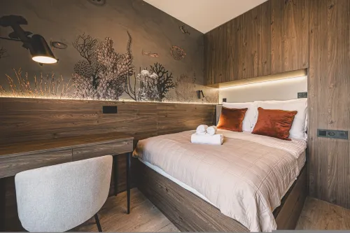 인두스트리아 노보체스니 이 베즈피에츠니 스타디온 자비샤