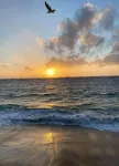Apartment House T3 RDC garden near beaches and shops