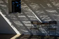 Monte Selvas - um Oásis em Montemor-o-novo