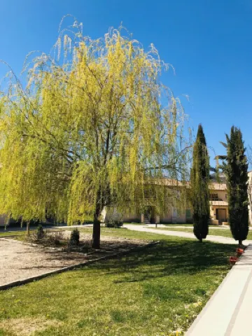 Watch Tower 2 - Two Bedroom Apartment, Garden View