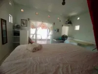 Right at a Secret virgin beach!