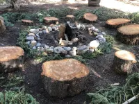 Best of both worlds, nature and Chambers landing