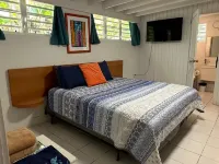 Studio en suite, king/twin beds sleep 3, multi-deck views, early access bag drop 庫萊布拉住宿飯店