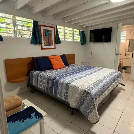 Studio en suite, king/twin beds sleep 3, multi-deck views, early access bag drop