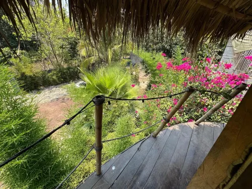 Cabaña El Zapotal in Jalcomulco, Veracruz, 2 minutes from downtown! Pet friendly Hotels in Jalcomulco