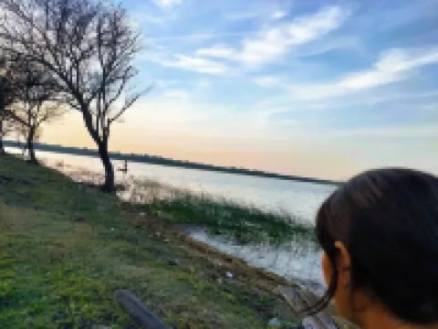 Experience Nature’s Charm: Unique Treehouse Stay by a Scenic Lake!
