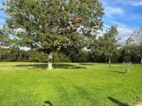 An enchanting chateau set in 10 hectares of wooded parkland, in absolute peace and quiet!