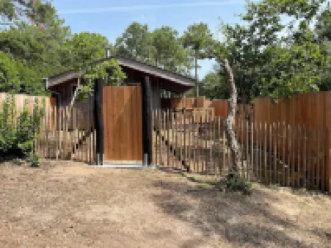 Cosy Forrest Cabin near the Beach
