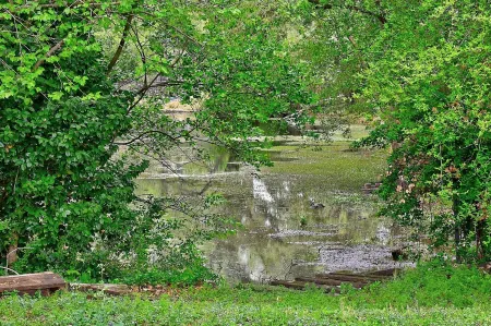 Perfect location - Close  to the Ocean and Bay in Virginia Beach Отели рядом с достопримечательностью «Парк штата Ферст Ландинг»