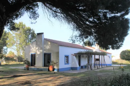 A Casa do Pinheiro tem uma Área de 5.000m2 com Piscina Отели в г. Санта-Мария-ду-Каштелу