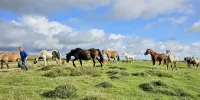Park Lodge sleeps 6 On Beautiful Rural Welsh Farm - 2 звезды