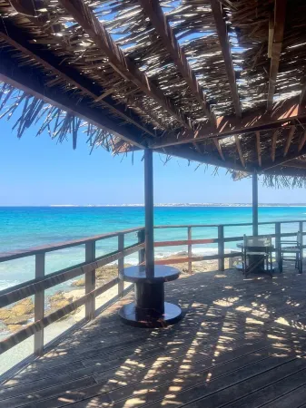 CASA ELAIO - surrounded by olive trees with a view of the Ionian Sea