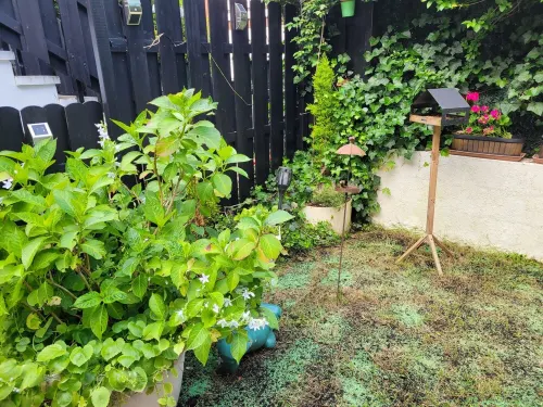 Apartment 87 m2, 3 bedrooms, enclosed garden Hotels in Les Ulis