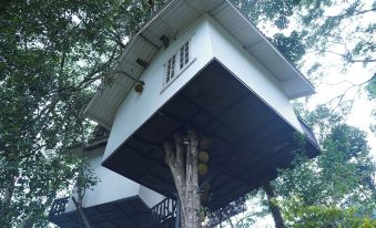 Tree Nature Resort