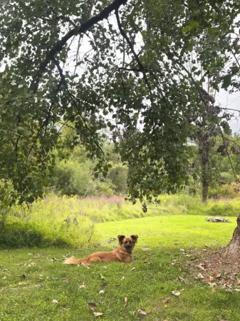 Retro Cottage in Accord