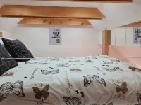 Juliana Apartment- AC bikes SUP  Bled Bohinj