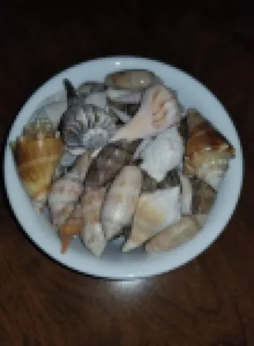 Prime location on Pass-A-Grille Beach! Everything you need is here!