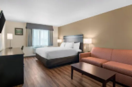 อีโคโน ลอดจ์ อินน์ แอนด์ สวีทส์ สปริงฟิลด์ เมน สตรีท