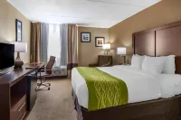 Comfort Inn Edison - New Brunswick