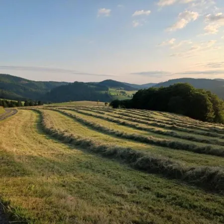 Wohnung in Willingen am Ettelsberg Skilift