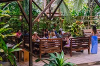 Palmar Beach Lodge Hotels in Bastimento