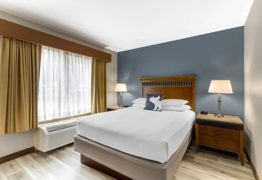 베스트 웨스턴 덴버 사우스웨스트 이미지