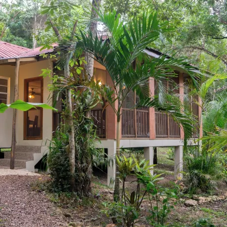 The Cabins at Monkey Fall