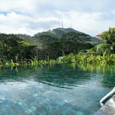 Fox Kandy by Fox Resorts - Luxury in the Mist