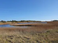 6 Person Holiday Home in Gedser
