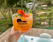 Hotel Green Hill - bar