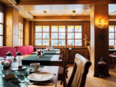 Bergvital Hotel Todtnau Hotels in Todtnau