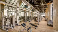 Grand Hyatt Abu Dhabi Hotel and Residence Emirates Pearl - Gym