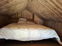 Apartment in Alps near Ski Lifts