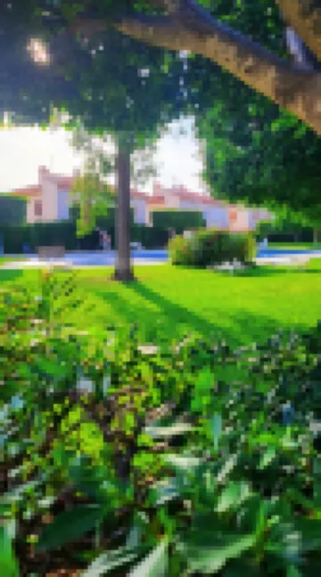 Cozy Flat in Urb Las Rosas Guardamar