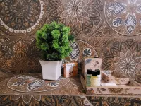 Jeevan Haveli Heritage Hotel And Museum Hotele w: Nawalgarh