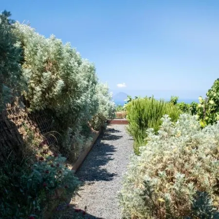 Tenuta di Castellaro Winery & Resort