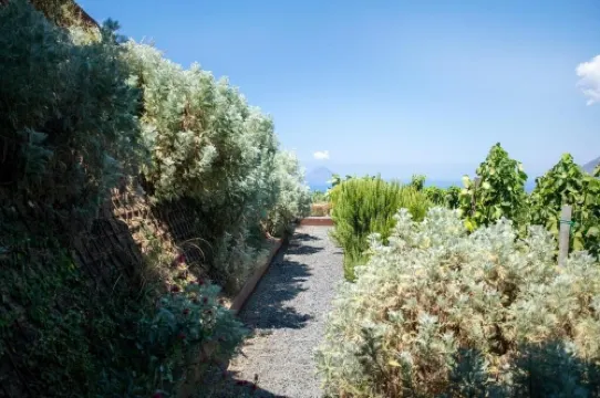 卡斯特拉羅莊園酒莊及度假村