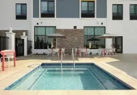 默塞德希爾頓花園酒店 - 泳池