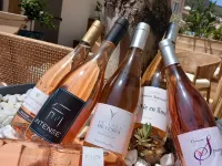 Intense Boutik-Hôtel Hotels in Port-Vendres
