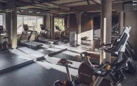 Mountain Plaza Hotel - Gym