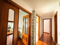 Luxury Singular Apartments Green